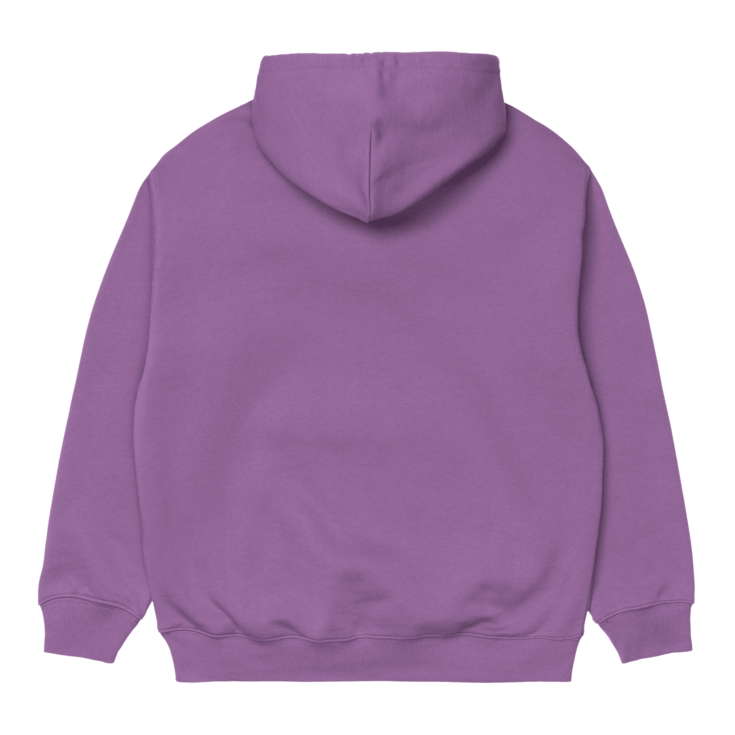 Carhartt WIP W´Hooded Carhartt Sweat - aster/white – Bild 2