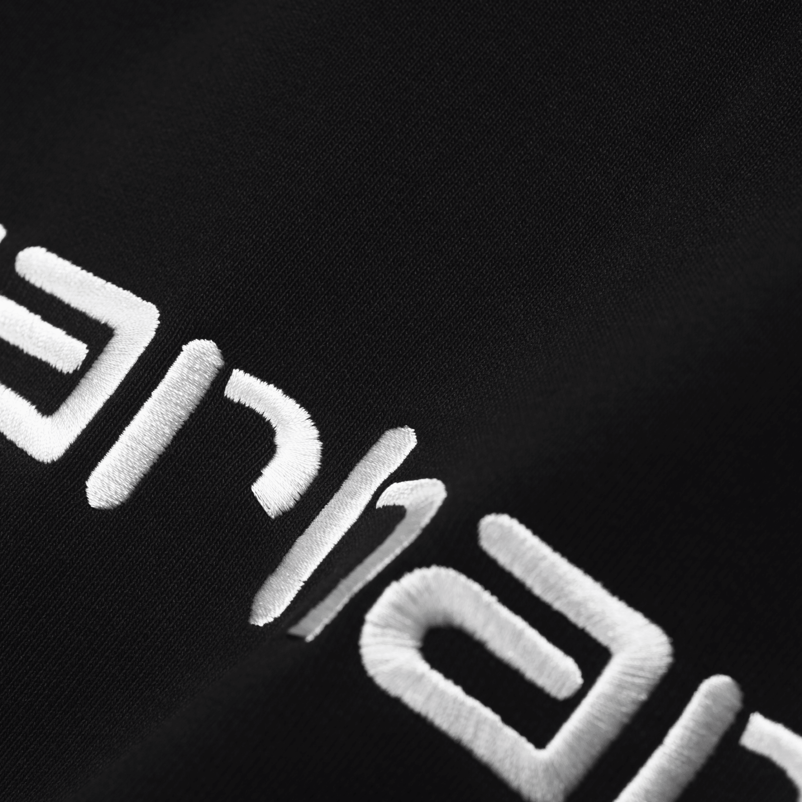Carhartt WIP W´Hooded Carhartt Sweat - black/white – Bild 2