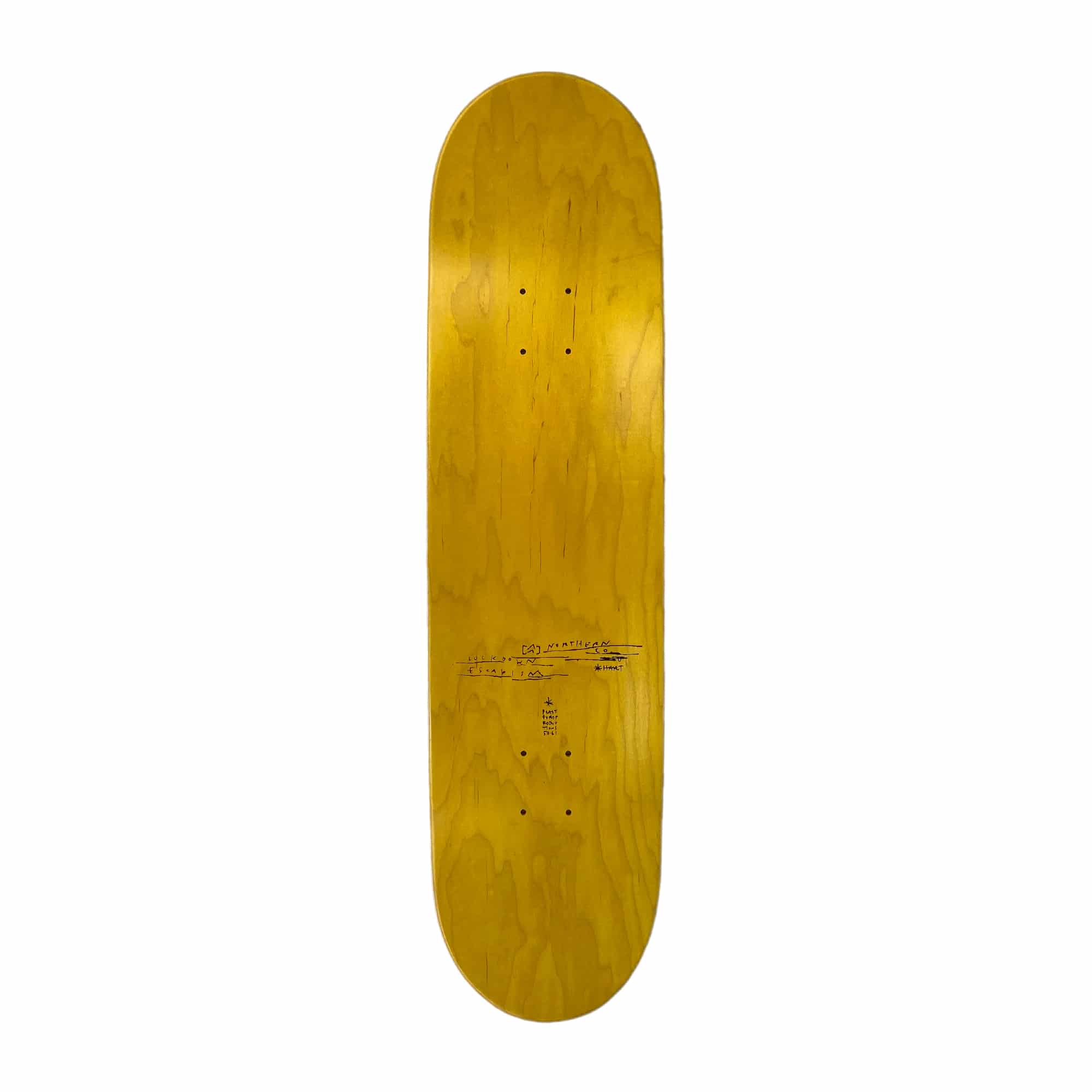 DGK Crush Boo 8,25" – Bild 10