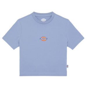 Dickies Maple Valley Tee - blue